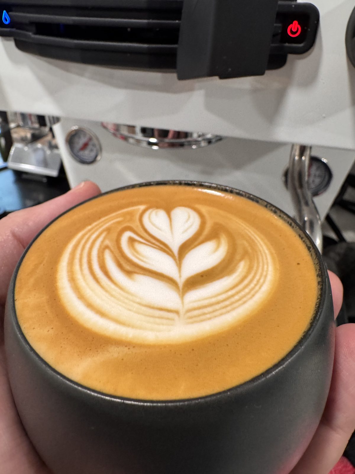 Specialty latte with rosetta latte art, poured on-site by the Drop Shot mobile coffee cart